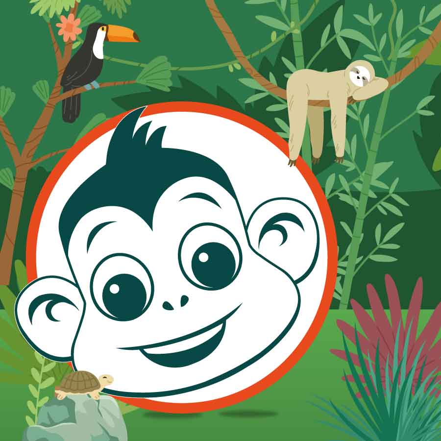 Bamboo visual data 5